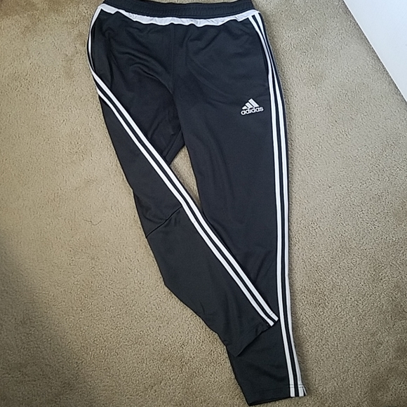 adidas climacool pants